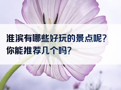 淮滨有哪些好玩的景点呢？你能推荐几个吗？