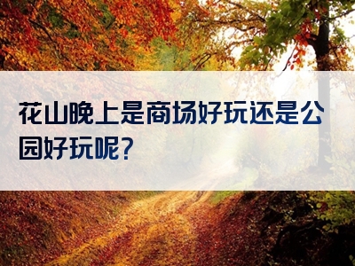 花山晚上是商场好玩还是公园好玩呢？