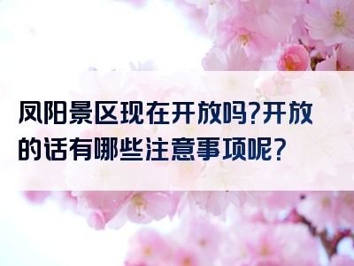 凤阳景区现在开放吗？开放的话有哪些注意事项呢？