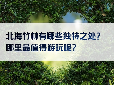 北海竹林有哪些独特之处？哪里最值得游玩呢？