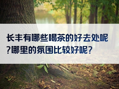 长丰有哪些喝茶的好去处呢？哪里的氛围比较好呢？