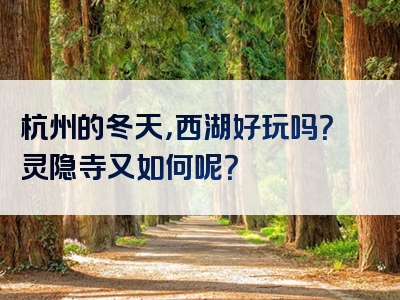 杭州的冬天，西湖好玩吗？灵隐寺又如何呢？