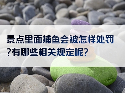 景点里面捕鱼会被怎样处罚？有哪些相关规定呢？