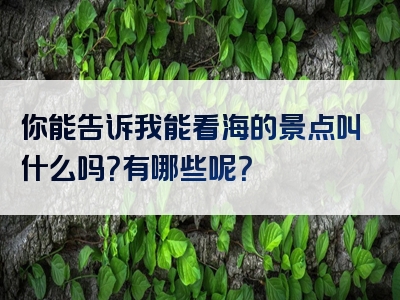 你能告诉我能看海的景点叫什么吗？有哪些呢？