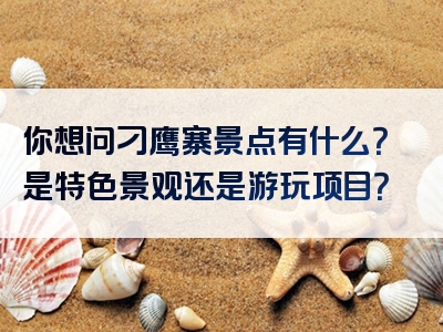 你想问刁鹰寨景点有什么？是特色景观还是游玩项目？