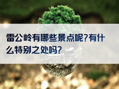 雷公岭有哪些景点呢？有什么特别之处吗？