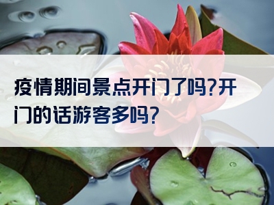 疫情期间景点开门了吗？开门的话游客多吗？