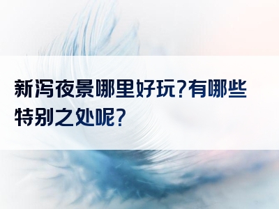 新泻夜景哪里好玩？有哪些特别之处呢？