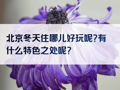 北京冬天住哪儿好玩呢？有什么特色之处呢？