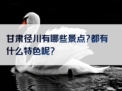 甘肃径川有哪些景点？都有什么特色呢？