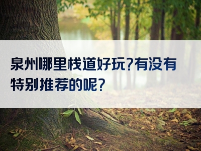 泉州哪里栈道好玩？有没有特别推荐的呢？