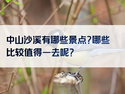 中山沙溪有哪些景点？哪些比较值得一去呢？