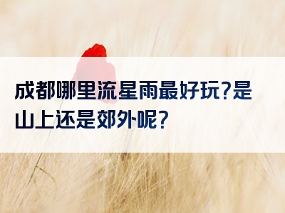 成都哪里流星雨最好玩？是山上还是郊外呢？