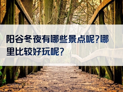 阳谷冬夜有哪些景点呢？哪里比较好玩呢？