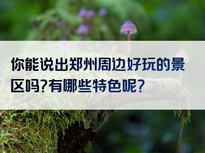 你能说出郑州周边好玩的景区吗？有哪些特色呢？