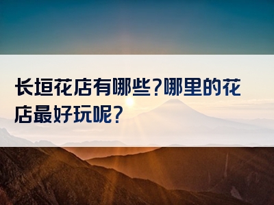 长垣花店有哪些？哪里的花店最好玩呢？