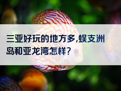 三亚好玩的地方多，蜈支洲岛和亚龙湾怎样？