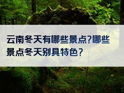 云南冬天有哪些景点？哪些景点冬天别具特色？