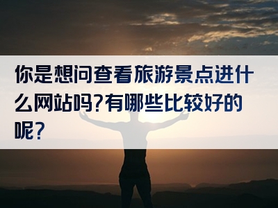 你是想问查看旅游景点进什么网站吗？有哪些比较好的呢？