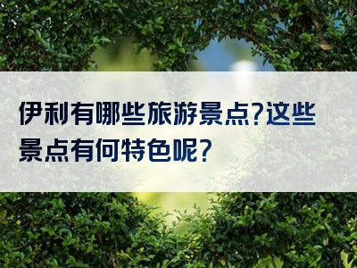 伊利有哪些旅游景点？这些景点有何特色呢？