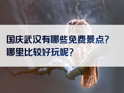 国庆武汉有哪些免费景点？哪里比较好玩呢？