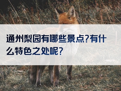 通州梨园有哪些景点？有什么特色之处呢？