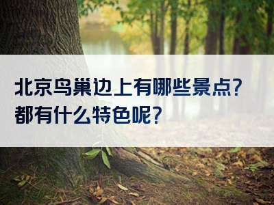 北京鸟巢边上有哪些景点？都有什么特色呢？