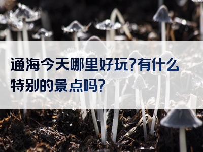 通海今天哪里好玩？有什么特别的景点吗？