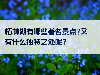 柘林湖有哪些著名景点？又有什么独特之处呢？