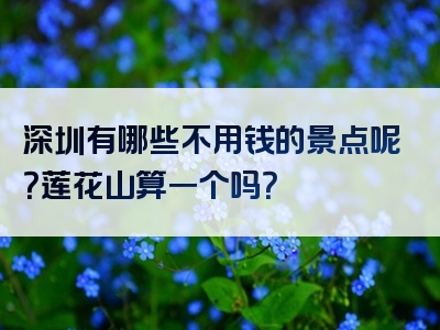 深圳有哪些不用钱的景点呢？莲花山算一个吗？