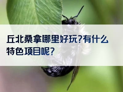 丘北桑拿哪里好玩？有什么特色项目呢？