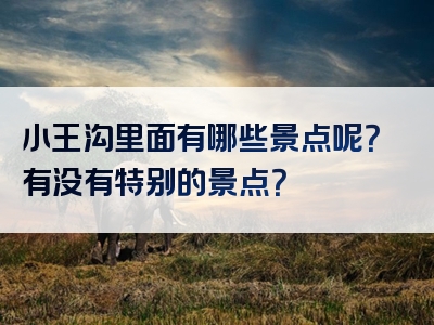 小王沟里面有哪些景点呢？有没有特别的景点？