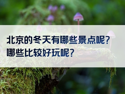 北京的冬天有哪些景点呢？哪些比较好玩呢？