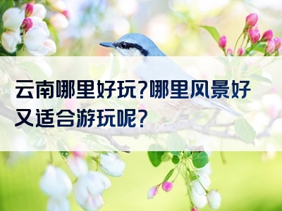 云南哪里好玩？哪里风景好又适合游玩呢？