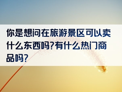 你是想问在旅游景区可以卖什么东西吗？有什么热门商品吗？