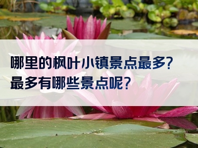 哪里的枫叶小镇景点最多？最多有哪些景点呢？