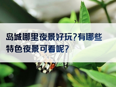 岛城哪里夜景好玩？有哪些特色夜景可看呢？