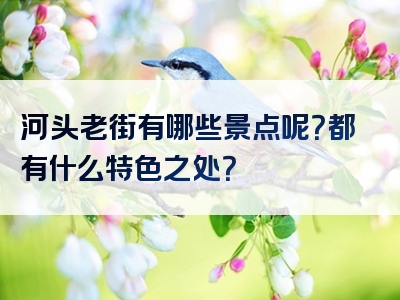 河头老街有哪些景点呢？都有什么特色之处？