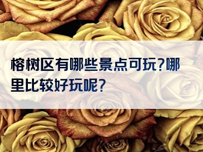 榕树区有哪些景点可玩？哪里比较好玩呢？