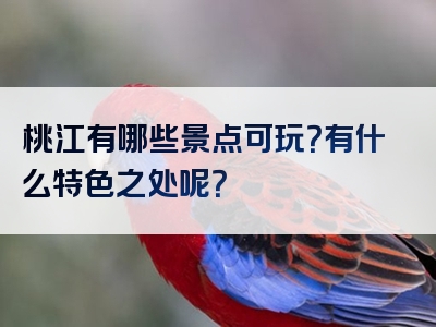 桃江有哪些景点可玩？有什么特色之处呢？