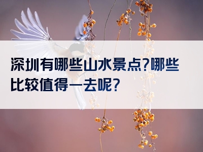 深圳有哪些山水景点？哪些比较值得一去呢？