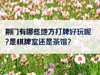 荆门有哪些地方打牌好玩呢？是棋牌室还是茶馆？