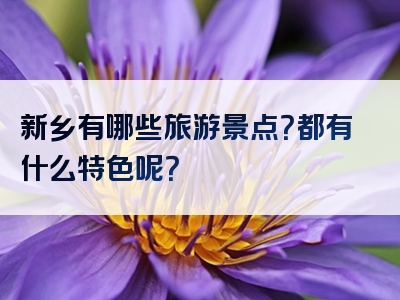 新乡有哪些旅游景点？都有什么特色呢？