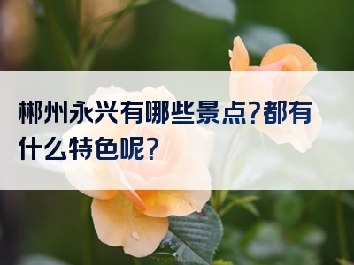 郴州永兴有哪些景点？都有什么特色呢？