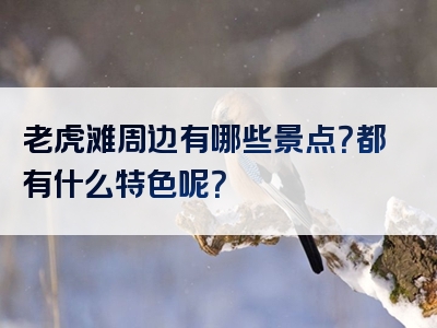 老虎滩周边有哪些景点？都有什么特色呢？
