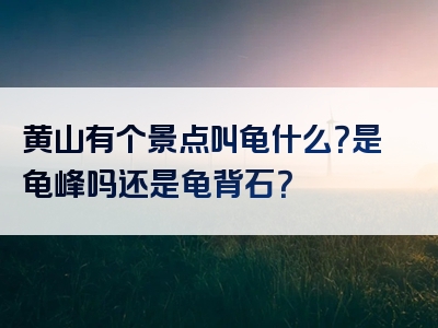 黄山有个景点叫龟什么？是龟峰吗还是龟背石？