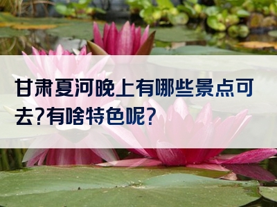 甘肃夏河晚上有哪些景点可去？有啥特色呢？