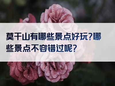 莫干山有哪些景点好玩？哪些景点不容错过呢？