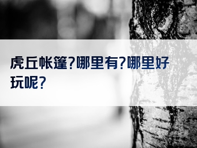 虎丘帐篷？哪里有？哪里好玩呢？