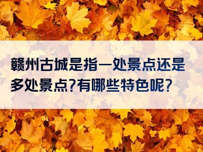 赣州古城是指一处景点还是多处景点？有哪些特色呢？